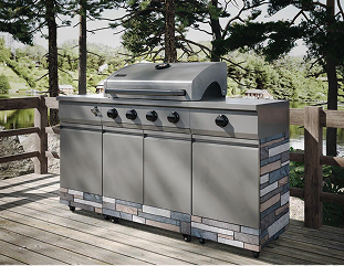 Fisher & Paykel Logo